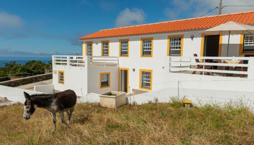 Casa da Figueirinha - Photo 5