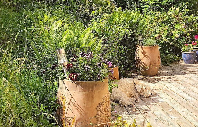 8 Person Holiday Home in Klovedal-by Traum - Photo 21