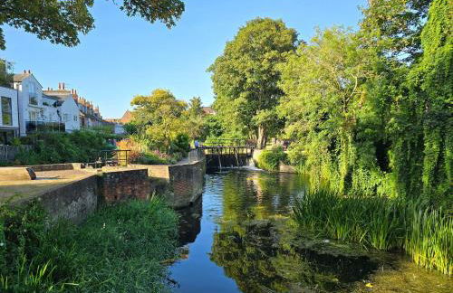 Charming 2 Bed Cottage - within city walls - free parking- garden - Foto 35