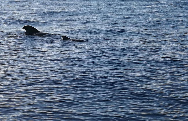 Aquarius Loft - Foto 34