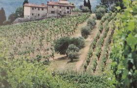 Complesso colonico Pogginano - Foto 1