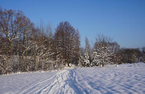 Uroczy Domek z Kominkiem - Foto 43