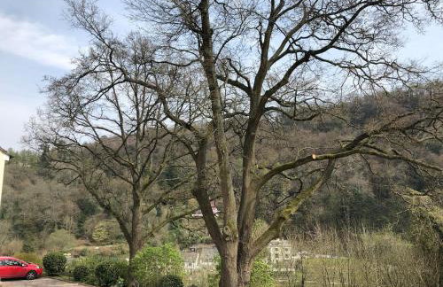 Symonds Yat - Herefordshire property with stunning views - Foto 14