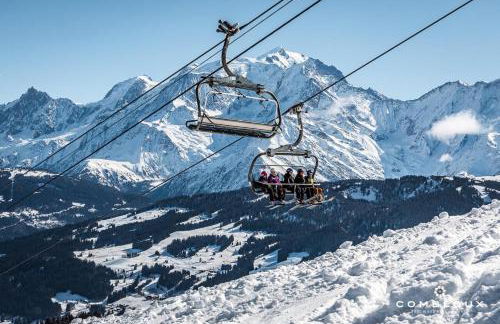 Les Ours de Combloux - Photo 39