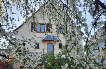 Le Cerisier - Route des vins - Parking et terrasse avec vue sur montagnes et vignoble - Foto 1