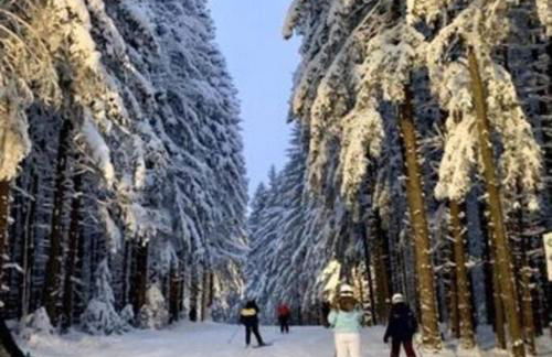 Chair Lift Lodge- Best Location in EVL Village! - Foto 47