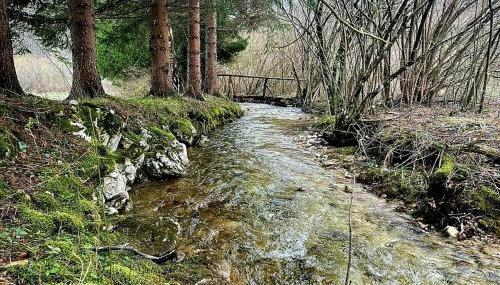 Villa Andjelija - Foto 2