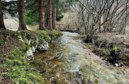 Villa Andjelija - Foto 2