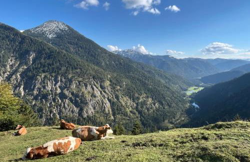 Landhaus Renata - Wendelstein - Foto 67