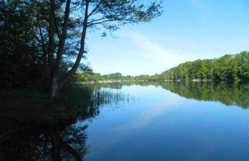 'kiek In' Fewo Schellberg - Foto 22