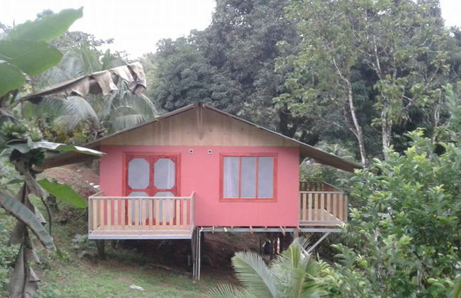 Drake Lapas - Foto 25