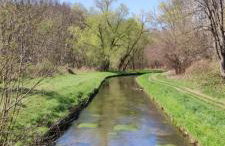 FeWo ALBTALECK - Wohnen im Kurort Waldbronn - Photo 31