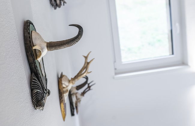 Chalet Dorf Wagrain Alpenleben - Foto 58