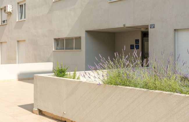 Sun Spalato Beach & Palms - Photo 22