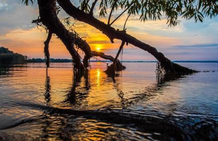 Giżycko-Przerwanki Domki Widok na Mazury - Foto 45