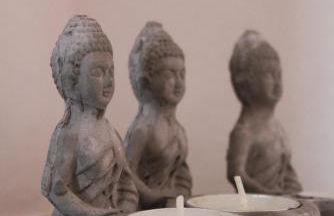 Zen Guest House - Museu do Bonsai - Foto 20