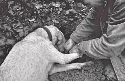 Profumi... - Foto 21