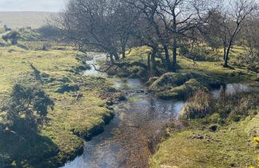 Central Seaside Bungalow - Foto 37