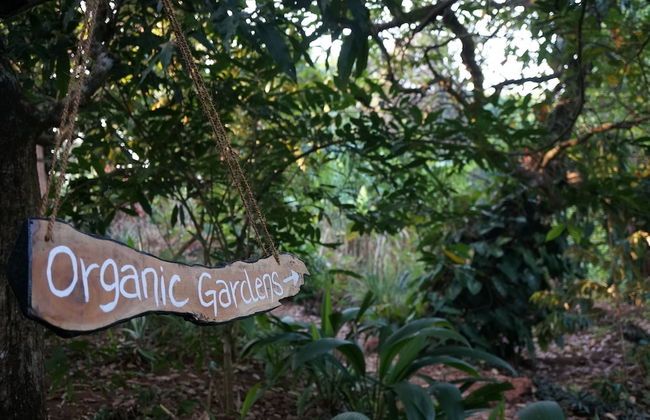 Khaama Kethna Wellbeing Retreat Centre - Foto 80