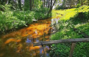 Dom i Domki nad Tanwią Roztocze - Foto 10