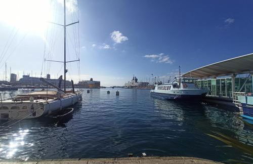 GreenPeace - Host Provence - Foto 27