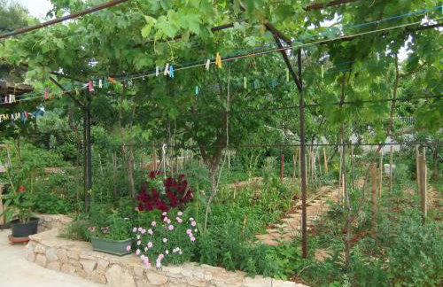 Apartments Ivanković - Photo 60