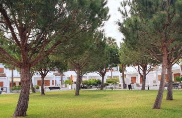 Appartement à 850 m de la plage de la Barrosa - Foto 18