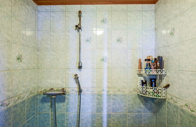 Linnunlaulu - Foto 18