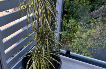 Black Forest, relaxation, YOUR place! - Foto 24