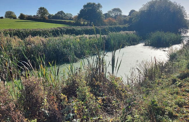 Chatterley House - Foto 57