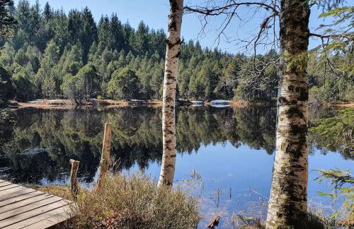 Black Forest Schwarzwaldliebe Pool Sauna Tennis Tischtennis Wifi Prime Tv Natur - Foto 34