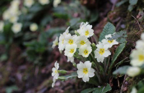 Pretty sunny cottage, Machynlleth - Photo 19