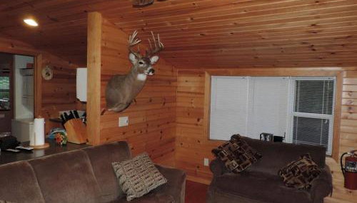 Rustic Cabin Rental Along the Wolf River in Fremont, Wisconsin - Foto 2