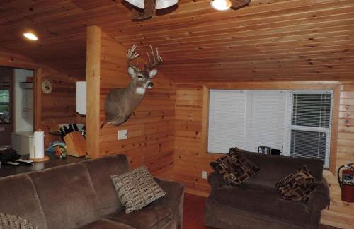 Rustic Cabin Rental Along the Wolf River in Fremont, Wisconsin - Foto 2