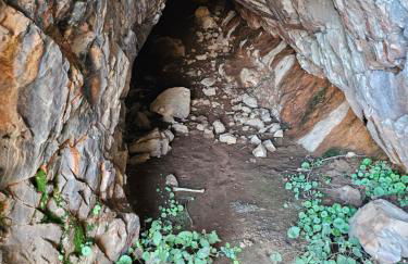 La Carpintería - Foto 35