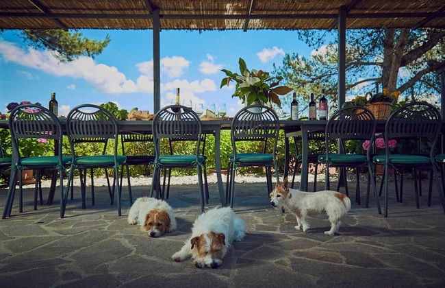 Il Poderaccio - Foto 49