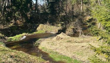 Rustico di Angelo - Foto 4