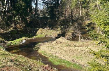 Rustico di Angelo - Foto 4