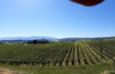 APPARTAMENTI DOLCETURISMO FONTECAIME...RELAX... - Foto 19