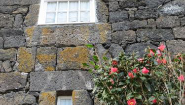 Casa Adega Alto do Passinho - Photo 5