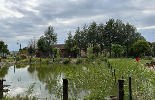 Agroturystka Jaśkowo - Foto 58