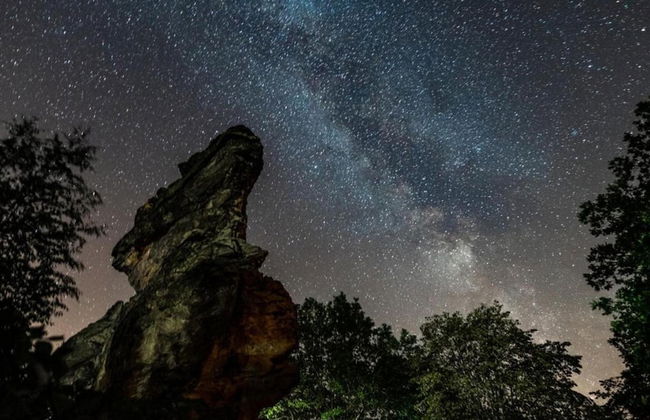Spacious Apartment in Ballenstedt Harz near Lake - Photo 26