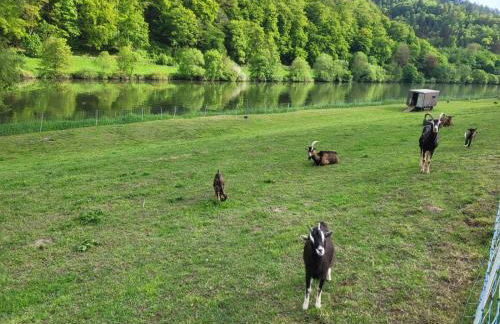 FeWo am Neckarsteig mit Anbindung an Heidelberg - Photo 23