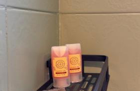 Apt Presidente 1167 - Foto 12