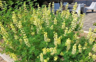 Lincoln Holiday Retreat Lodge with Private Hot Tub - Foto 58