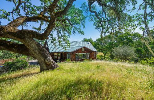 Healdsburg Home with Magnificent Vineyard View home - Foto 13