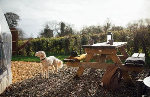 The Little Retreat, Pembrokeshire - Photo 16