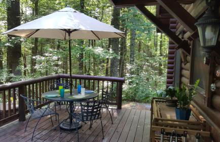 Appalachian Cabin- Trout Stream Firepit Hot Tub - Foto 4