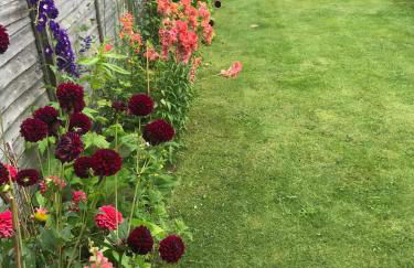 Bryntivy - a cheerful stone cottage close to beach - Foto 23