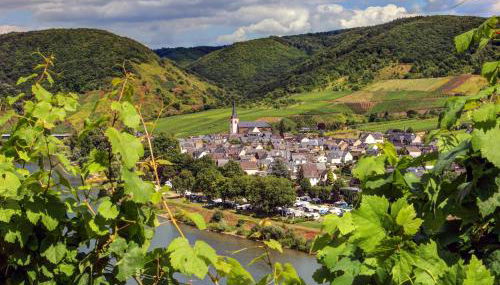 Moselhof Ferienwohnungen - Foto 2